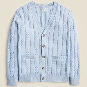 J.Crew Mens Light Baby Blue Cardigan